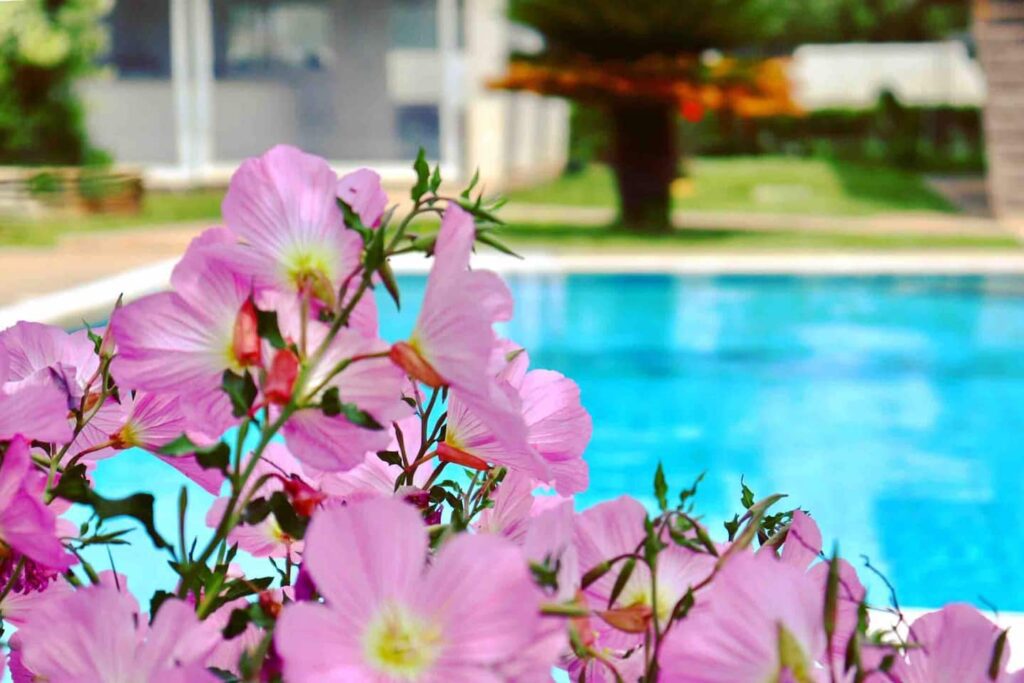 a73f43b4 fb3c 4767 85b6 6aa95b6083bc | Kipos Luxury Villa